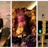 Creative Passion